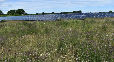 Berwick solar farm