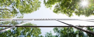 The Elevion Group